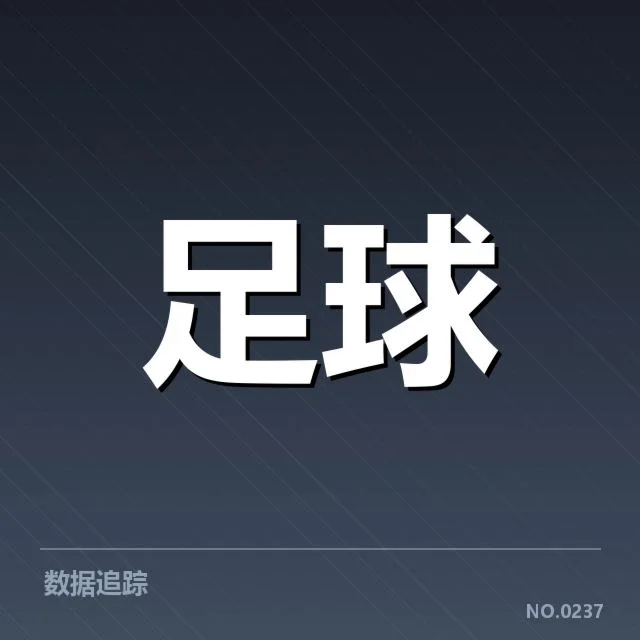 伯尔尼年轻人球场建设:未来发展面临哪些挑战与机遇